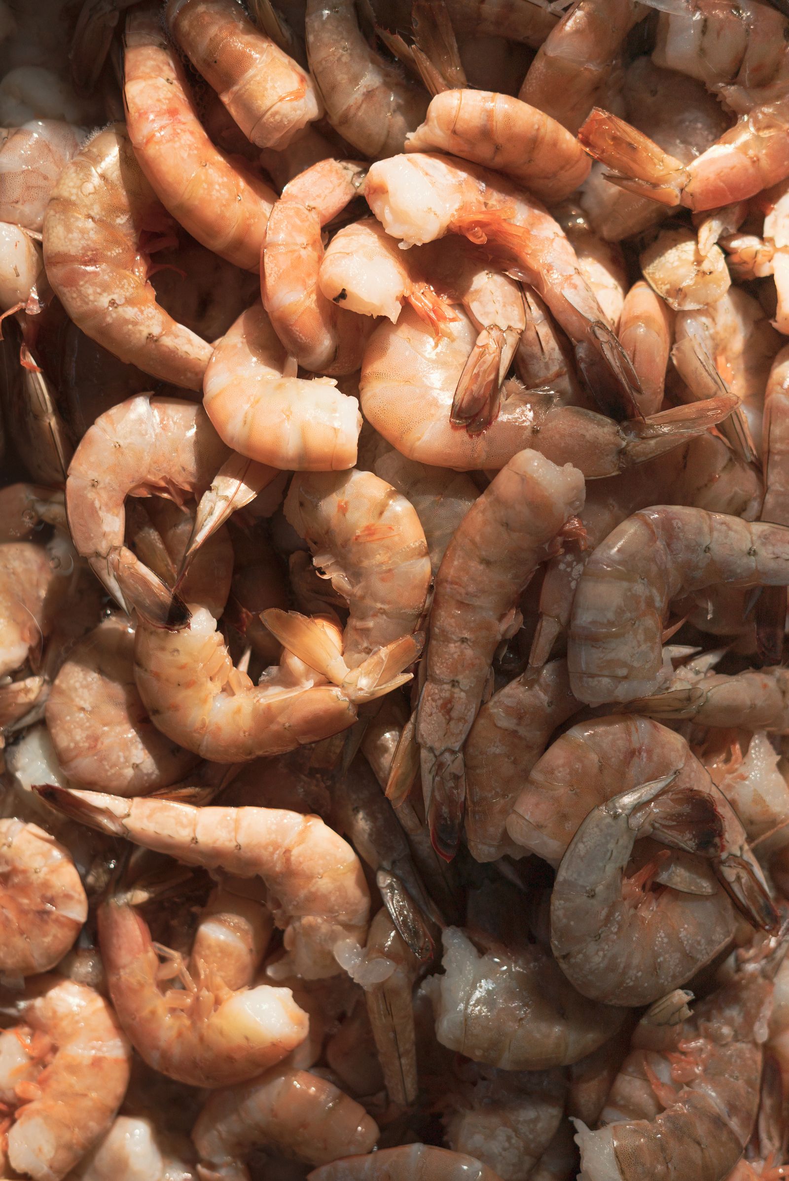 Raw headless shell-on shrimp